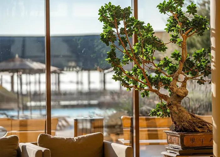 Hvd Clubhotel Miramar